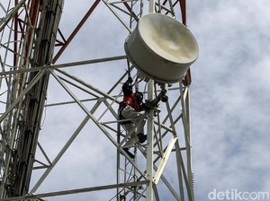 Dampak Roaming Nasional Terhadap Pertumbuhan Jaringan Seluler