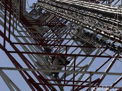Pemeliharaan Tower BTS di Sekitar Gunung Merapi