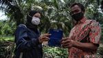 Perkenalkan Indah Sang Mantri BRI di Rupat