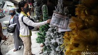 Warga tengah memilih pohon Natal.