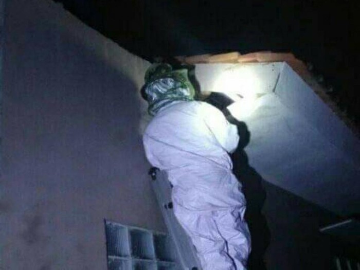 Petugas mengevakuasi sarang tawon di pemukiman rumah warga