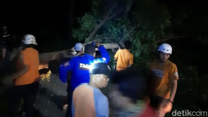 Pohon tumbang di cianjur timpa pengendara