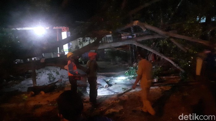 Pohon tumbang di cicendo Bandung