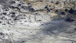 Potret Gunung Berapi Whakaari di Selandia Baru Pasca 1 Tahun Meletus