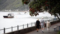Pada 24 November 2019, dua minggu sebelum letusan, gempa berkekuatan Mw 5.9 yang berlangsung sekitar satu menit dengan pusat gempa yang terletak 10 kilometer (6,2 mi) timur laut dari White Island terjadi dan dirasakan warga di seluruh Selandia Baru sejauh Selatan ke Christchurch.  