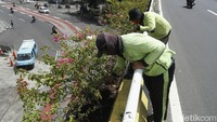 Perawatan tanaman hias dilakukan oleh petugas setiap hari.