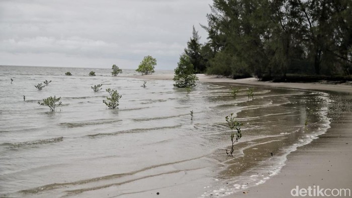Destinasi wisata di Pulau Rupat.