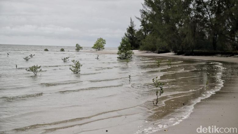 Pulau Beting Aceh Destinasi wisata di Pulau Rupat.