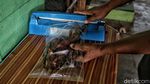 Sang Jutawan Pengasap Ikan Dari Pulau Terluar Rupat