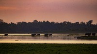 Hamparan luas rumput, rawa, hutan berdaun lebar, silang menyilang dengan empat sungai besar termasuk Sungai Brahmana.  