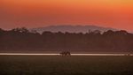 Senja di Taman Nasional Kaziranga, Rumah Bagi Satwa Liar India