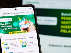 Makanan Cupang hingga Monstera Laku Keras di Tokopedia Sepanjang 2020