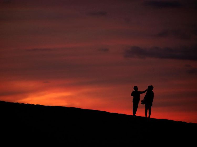 Vegetasi Bukit Pasir di Spanyol Kembali Pulih Akibat Pandemi
