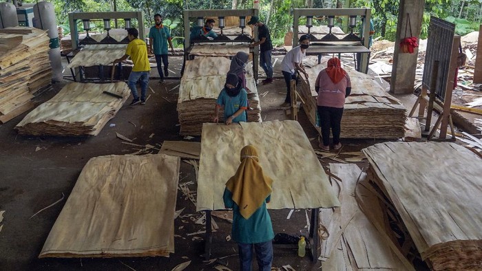 photo Loker Pabrik Kayu Di Daera Boja Kendal geliat produksi kayu lapis ekspor di batang