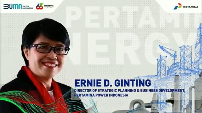 Ernie D Ginting, Director of Strategic Planning and Business Development PPI,