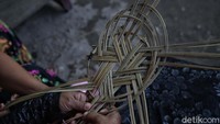 Tulang daun tersebut berbentuk seperti lidi atau rotan.