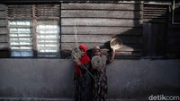 Lidi sawit ini adalah salah satu kerajinan populer. Ikuti terus jelajah Tapal Batas detikcom bersama BRI di tapalbatas.detik.com.