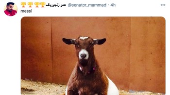 Messi diledek seperti kambing sungguhan yang gemuk (Twitter)