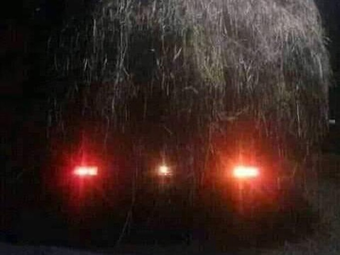 Mobil pikap angkut jerami disangka genderuwo