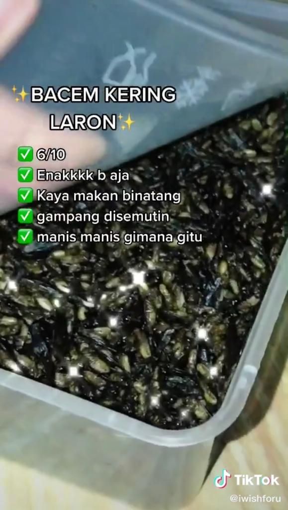 Musim Hujan Banyak Laron, Pria Ini Review Makanan Serba Laron