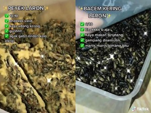 Musim Hujan Banyak Laron, Pria Ini Review Makanan Serba Laron