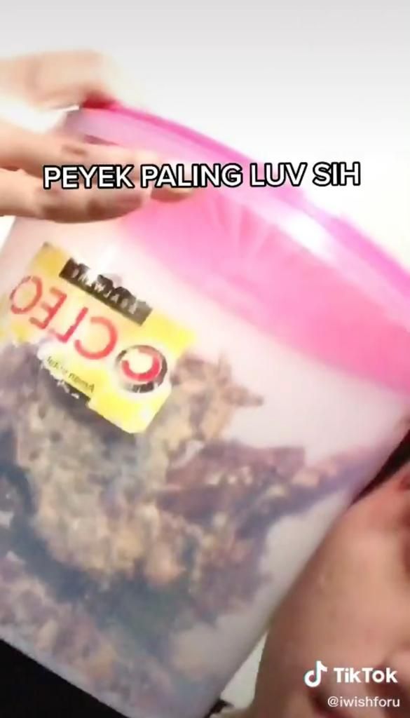 Musim Hujan Banyak Laron, Pria Ini Review Makanan Serba Laron