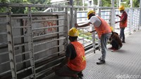 Sejumlah petugas tampak mengenakan standar keselamatan kerja saat melakukan perawatan.