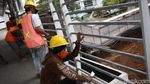 Perawatan JPO Ibu Kota Dikebut Jelang Tahun Baru