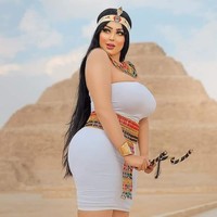 Dalam pernyataan di Facebook, Secretary-General of the Supreme Council of Antiquities, Mostafa Waziri, mengatakan penangkapan terhadap Salma Al Shimi dilakukan karena wanita seksi itu melanggar aturan. Katanya ada aturan yang menyebutkan siapapun tidak boleh melakukan pemotretan tidak pantas di situs kuno. Siapapun yang mengabaikan keunikan peradaban Mesir akan dihukum, demikian pernyataan Waziri. Foto: Instagram @ salmaelshimyoffical