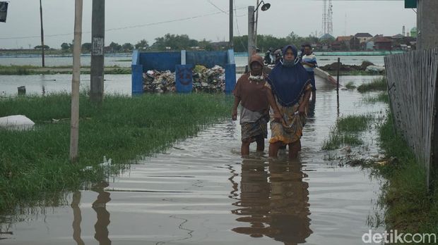 Sejumlah warga di Desa Gebangarum, Kecamatan Bonang, Demak, harus terabas banjir rob untuk pergi ke TPS Pilkada 2020, Rabu (9/12/2020).