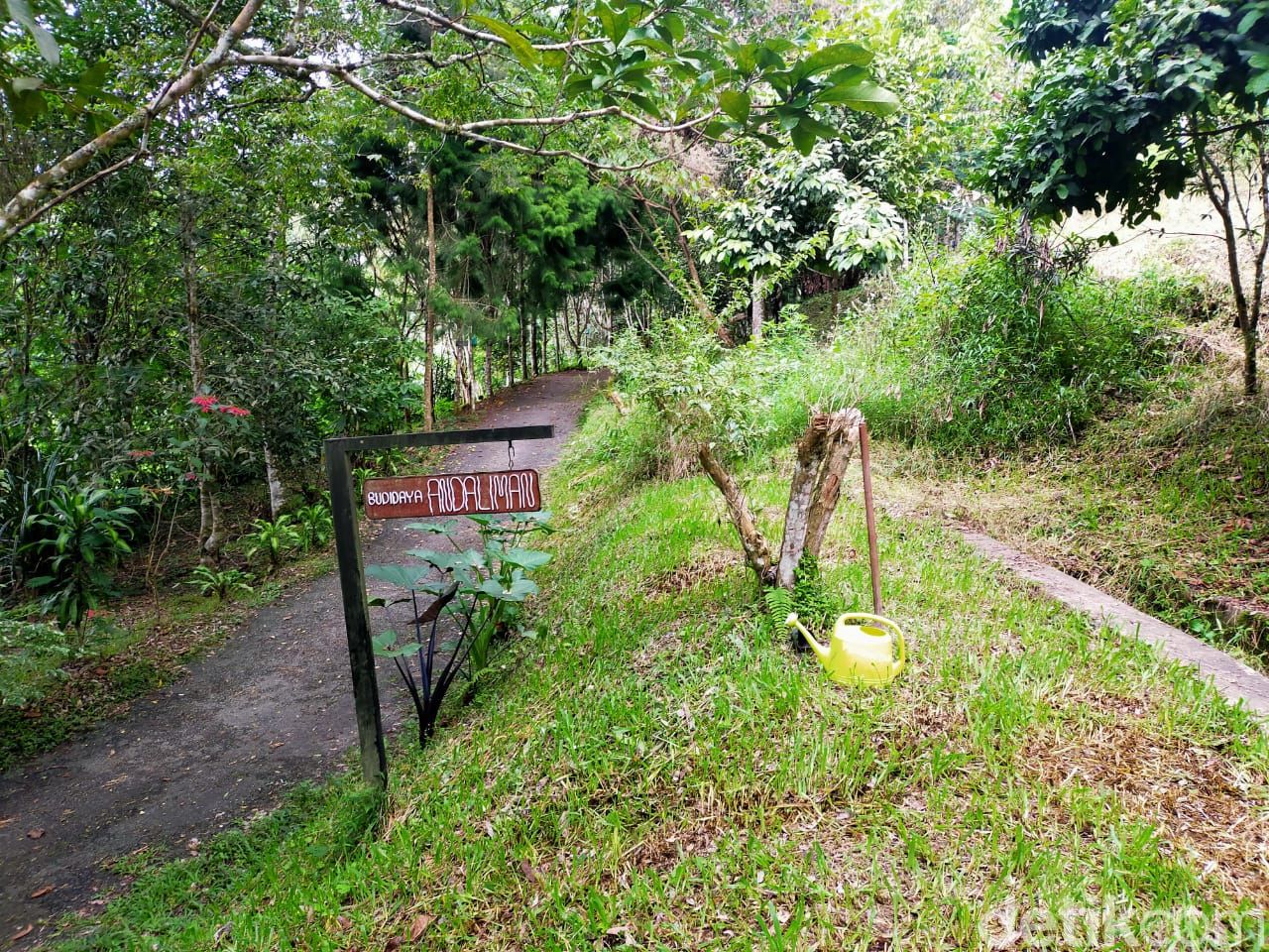 Taman Eden 100