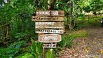 Foto: Wisata Ratusan Tanaman Berkhasiat di Taman Eden 100