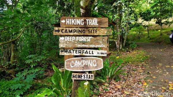 Wisata ini dibangun pada tahun 1999. Ada berbagai fasilitas untuk wisatawan mulai dari air terjun hingga lokasi penginapan. (Tasya Khairally/detikcom) Wisata ini dibangun pada tahun 1999. Ada berbagai fasilitas untuk wisatawan mulai dari air terjun hingga lokasi penginapan. (Tasya Khairally/detikcom)