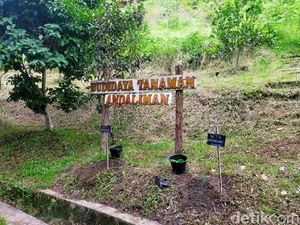 Foto: Wisata Ratusan Tanaman Berkhasiat di Taman Eden 100