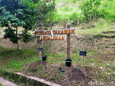 Foto: Wisata Ratusan Tanaman Berkhasiat di Taman Eden 100