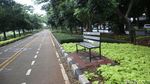Tanaman Hias Percantik Jalan Inspeksi BKT