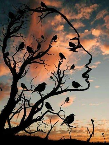 tes kepribadian Tes Kepribadian