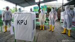 Unik, Petugas di TPS Ini Berpakaian APD