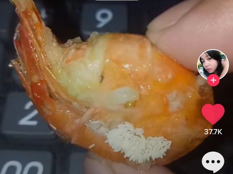 Wanita Ini Curhat Udang Gorengnya Penuh Telur Lalat
