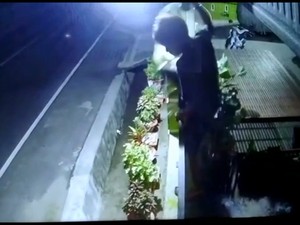 Aksi Pria di Pinrang, Curi Burung-Nyungsep ke Kolam Ikan