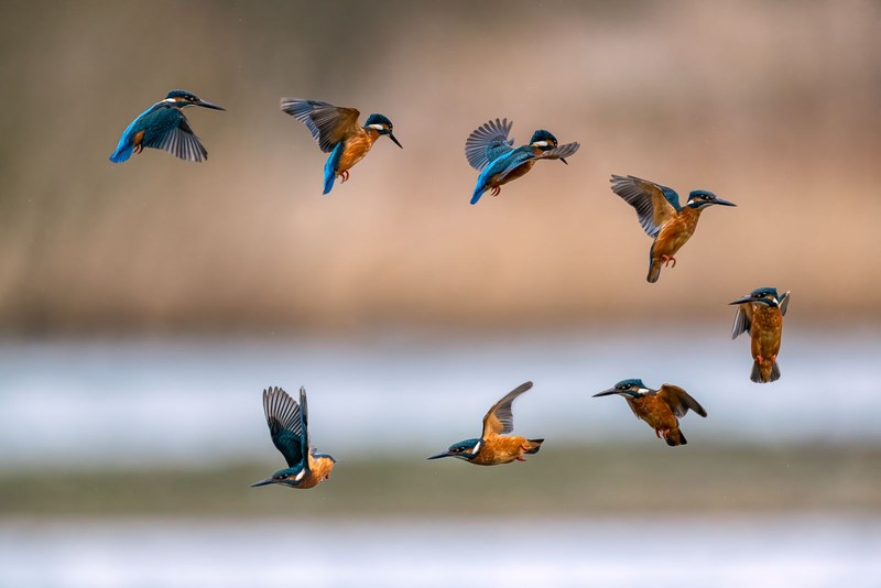 British Photography Awards 2021