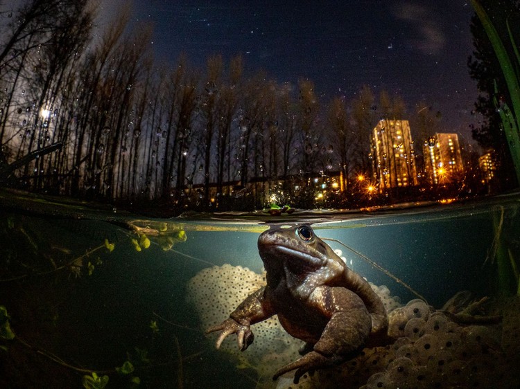 British Photography Awards 2021
