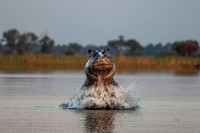 British Photography Awards 2021