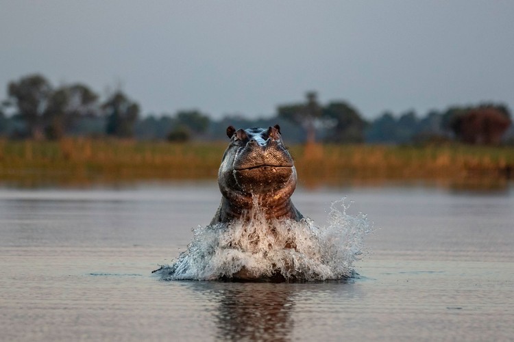 British Photography Awards 2021