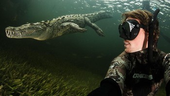 Karya Grant Thomas. Kamera Canon 5d mkiii dengan Tokina 10-17mm fisheye in Ikelite water housing dan dua Ikelite DS 161 strobe lights. Foto: British Photography Awards