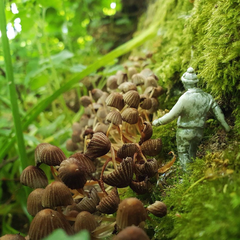 British Photography Awards 2021