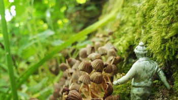 Karya Tillmann Lenz. Kamera Samsung Galaxy S10. Foto: British Photography Awards 