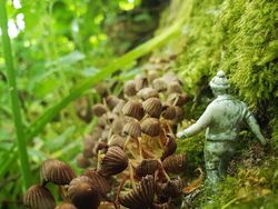 Karya Kece Finalis British Photography Awards 2021 yang Pukau Mata