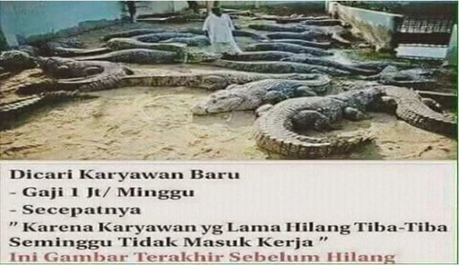 Ada yang berminat melamar pekerjaan ini? Gajinya sih lumayan tapi mana sempat, keburu wafat sebelum terima gaji deh.. Foto: Facebook