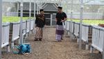 Gaya Santai Saat Ngopi dan Berkebun ala Ustaz Yusuf Mansur